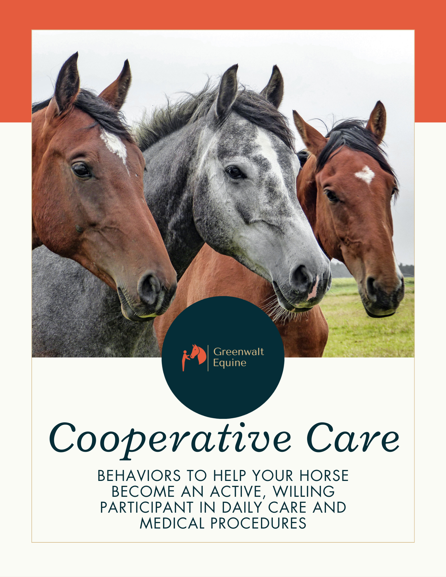 ＨＯＲＳＥ　ＣＡＲＥ　ＭＡＮＵＡＬ The Complete Horse Care Manual: The Essential Practical